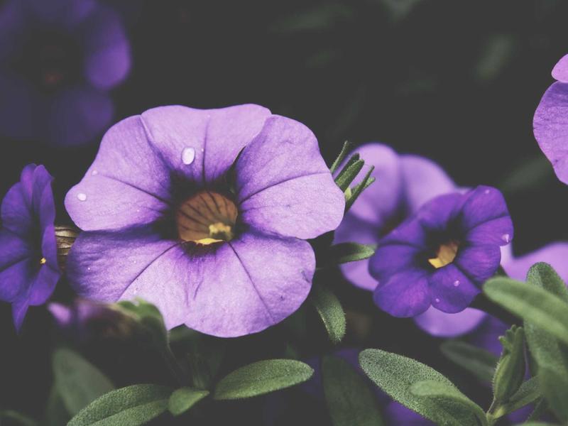 sudoku error checking screenshot 1